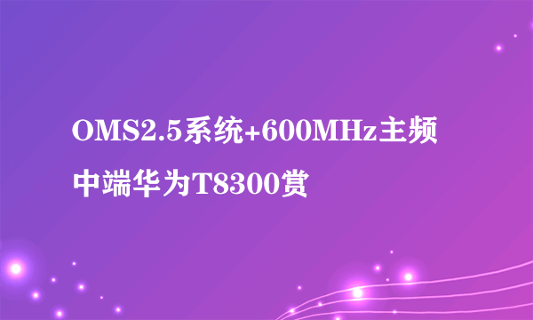 OMS2.5系统+600MHz主频 中端华为T8300赏