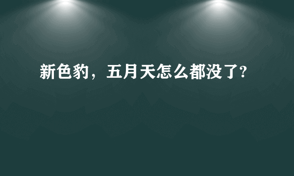 新色豹，五月天怎么都没了?