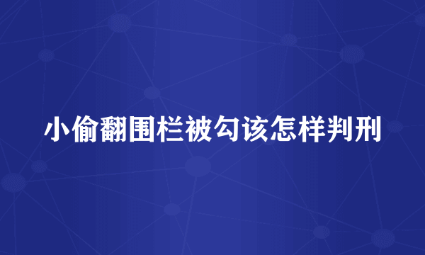 小偷翻围栏被勾该怎样判刑