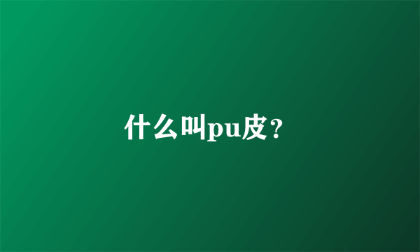 什么叫pu皮？