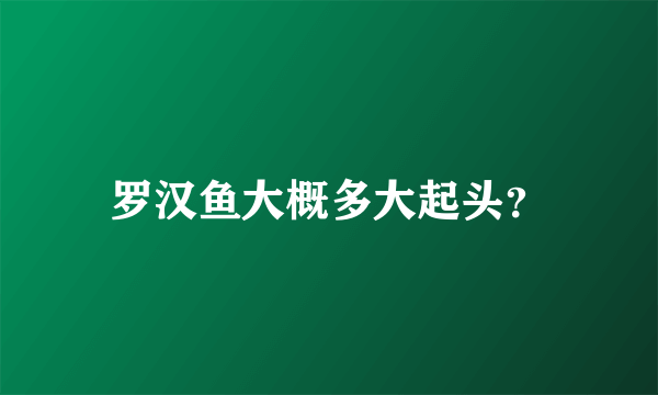 罗汉鱼大概多大起头？