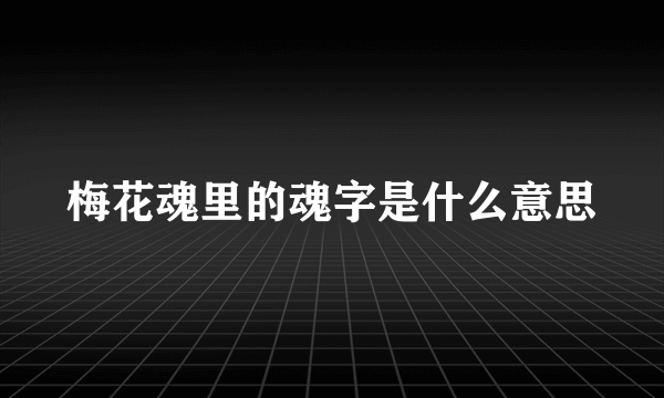 梅花魂里的魂字是什么意思