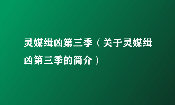 灵媒缉凶第三季（关于灵媒缉凶第三季的简介）