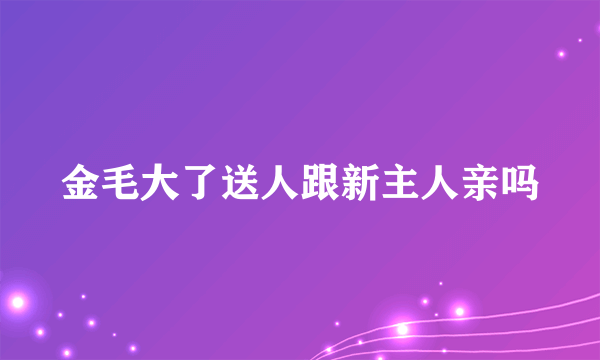 金毛大了送人跟新主人亲吗