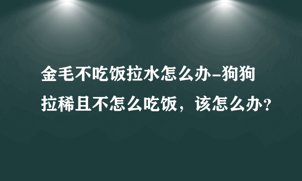 金毛不吃饭拉水怎么办-狗狗拉稀且不怎么吃饭，该怎么办？