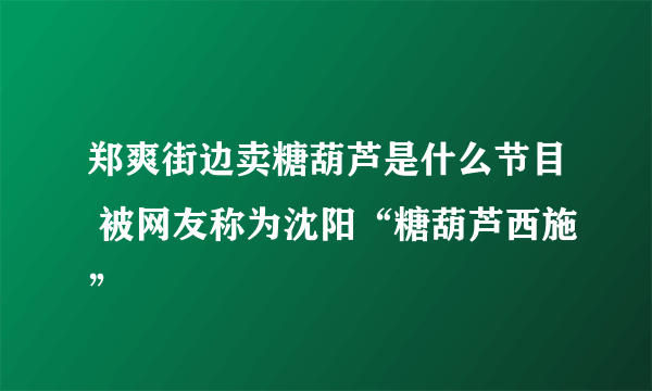 郑爽街边卖糖葫芦是什么节目 被网友称为沈阳“糖葫芦西施”