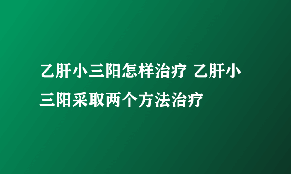 乙肝小三阳怎样治疗 乙肝小三阳采取两个方法治疗