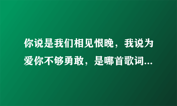 你说是我们相见恨晚，我说为爱你不够勇敢，是哪首歌词？谁唱的