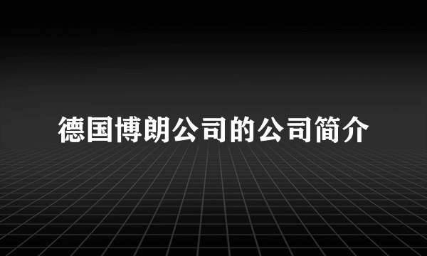 德国博朗公司的公司简介