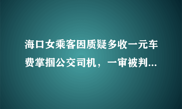 海口女乘客因质疑多收一元车费掌掴公交司机，一审被判4年, 你怎么看？