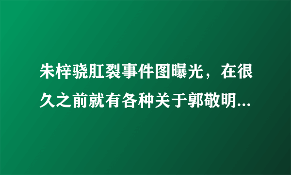 朱梓骁肛裂事件图曝光，在很久之前就有各种关于郭敬明与朱梓骁之间的绯闻了-飞外网