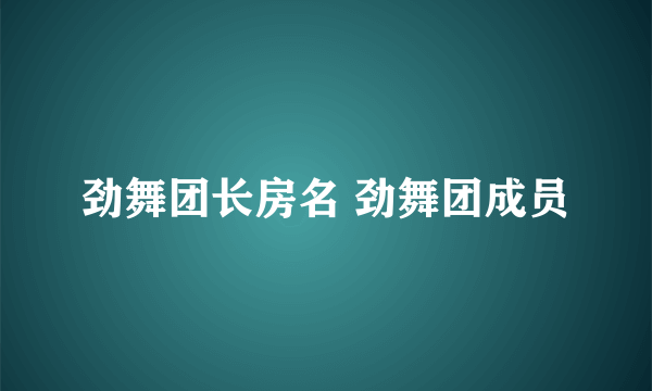 劲舞团长房名 劲舞团成员