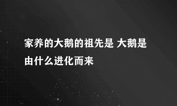 家养的大鹅的祖先是 大鹅是由什么进化而来