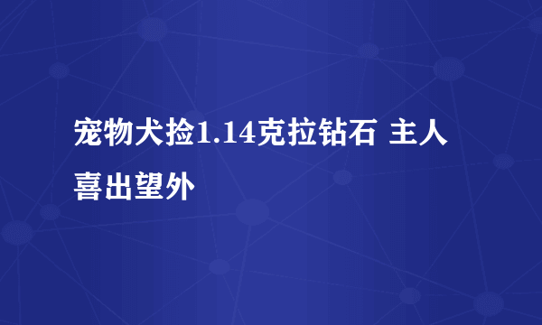 宠物犬捡1.14克拉钻石 主人喜出望外