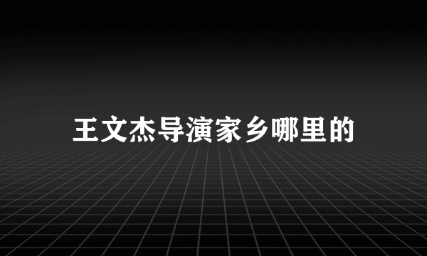 王文杰导演家乡哪里的