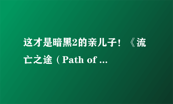 这才是暗黑2的亲儿子！《流亡之途（Path of Exile）》复杂系统游戏演示