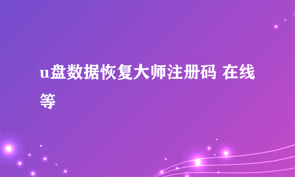 u盘数据恢复大师注册码 在线等