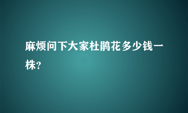 麻烦问下大家杜鹃花多少钱一株？