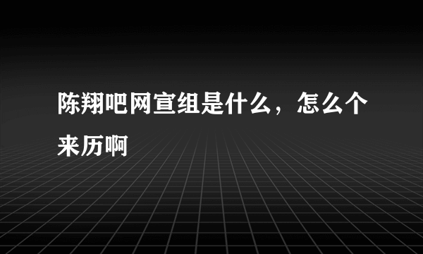 陈翔吧网宣组是什么，怎么个来历啊