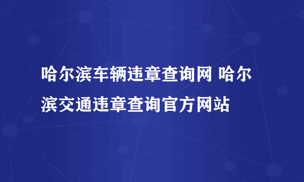 哈尔滨车辆违章查询网 哈尔滨交通违章查询官方网站