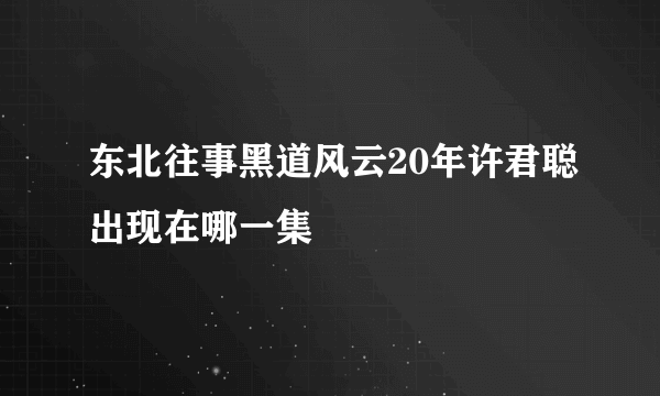 东北往事黑道风云20年许君聪出现在哪一集