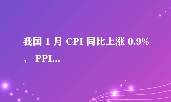 我国 1 月 CPI 同比上涨 0.9%， PPI 同比上涨 9.1%，这一数据说明了什么？