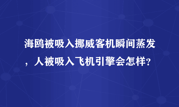 海鸥被吸入挪威客机瞬间蒸发，人被吸入飞机引擎会怎样？