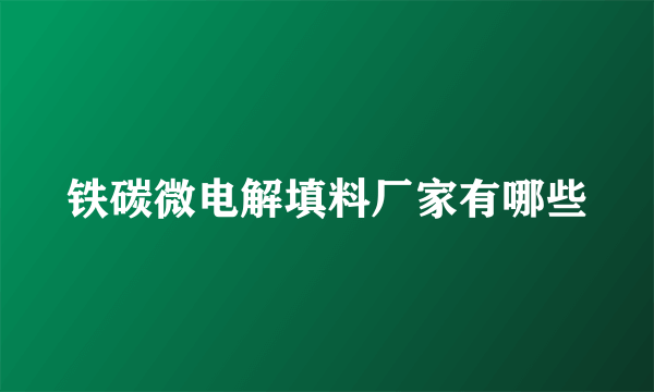 铁碳微电解填料厂家有哪些