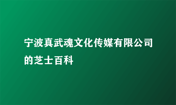 宁波真武魂文化传媒有限公司的芝士百科