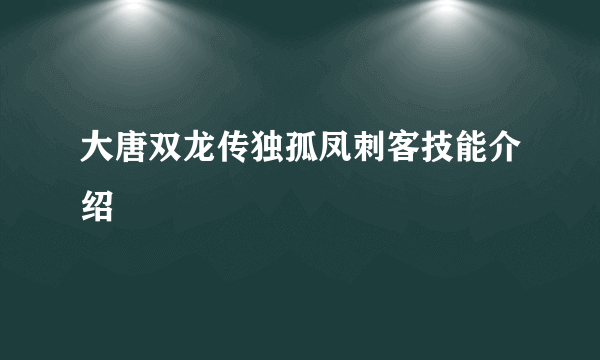 大唐双龙传独孤凤刺客技能介绍