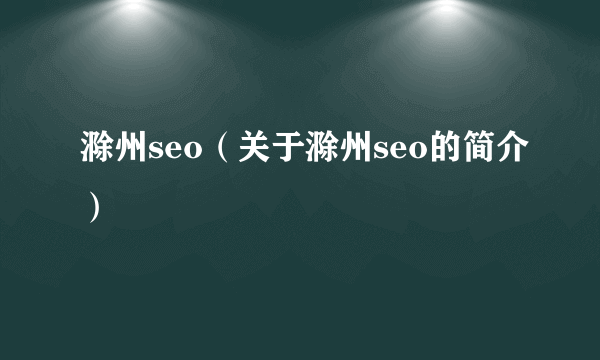 滁州seo（关于滁州seo的简介）