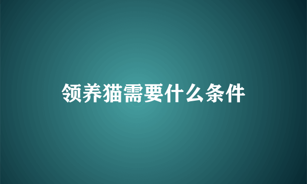 领养猫需要什么条件