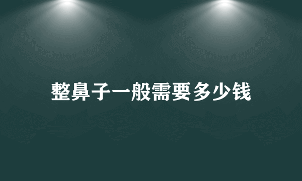 整鼻子一般需要多少钱