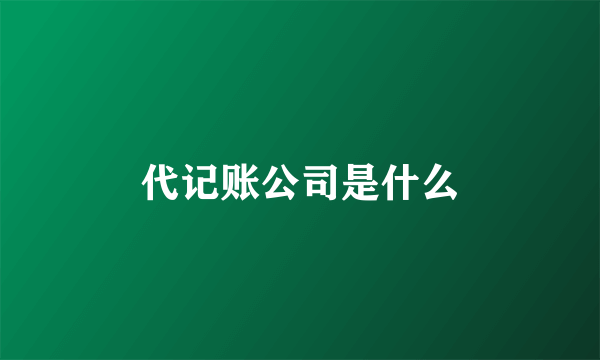 代记账公司是什么