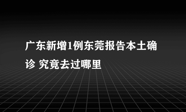 广东新增1例东莞报告本土确诊 究竟去过哪里