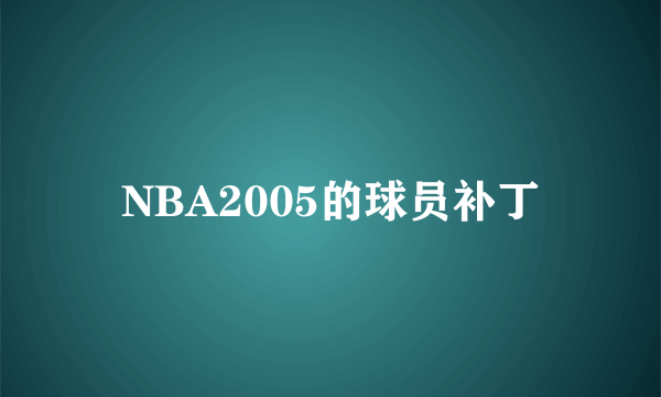 NBA2005的球员补丁