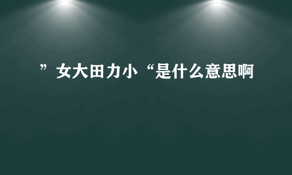 ”女大田力小“是什么意思啊