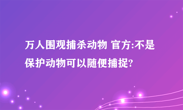 万人围观捕杀动物 官方:不是保护动物可以随便捕捉?