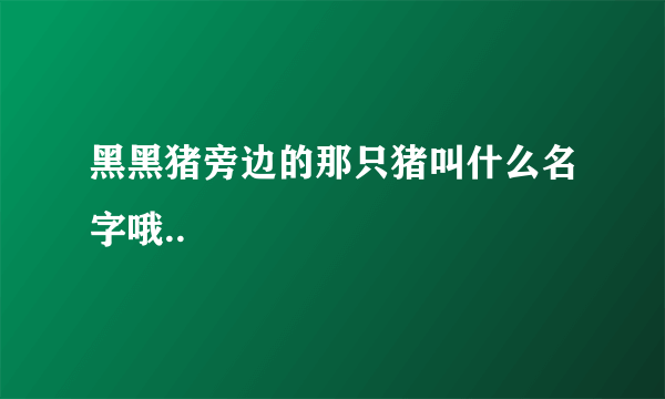 黑黑猪旁边的那只猪叫什么名字哦..