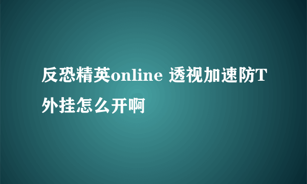 反恐精英online 透视加速防T外挂怎么开啊