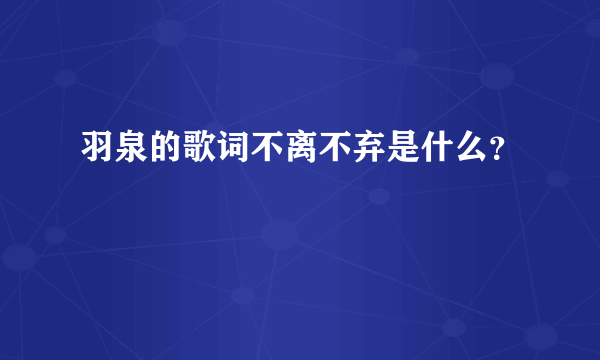 羽泉的歌词不离不弃是什么？