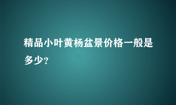 精品小叶黄杨盆景价格一般是多少？