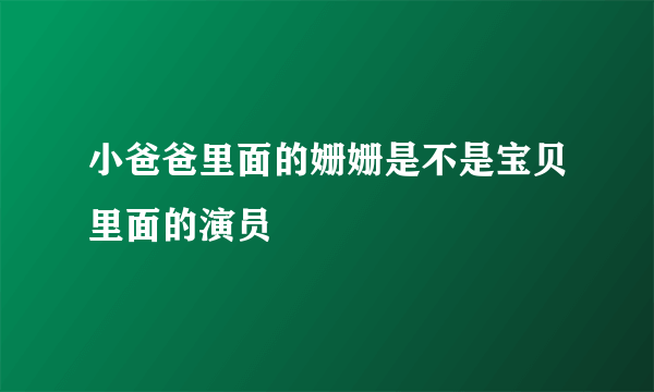 小爸爸里面的姗姗是不是宝贝里面的演员