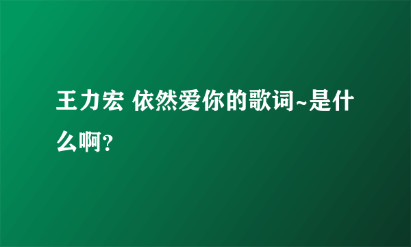 王力宏 依然爱你的歌词~是什么啊？