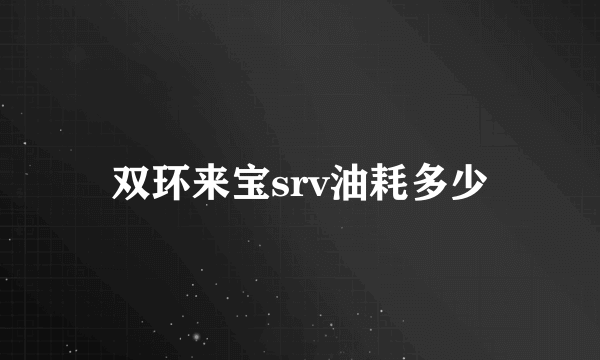 双环来宝srv油耗多少