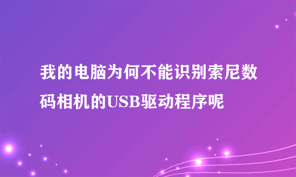 我的电脑为何不能识别索尼数码相机的USB驱动程序呢