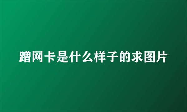 蹭网卡是什么样子的求图片