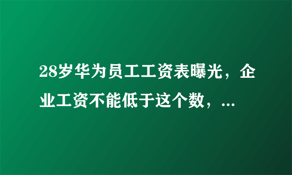 28岁华为员工工资表曝光，企业工资不能低于这个数，否则要受罚