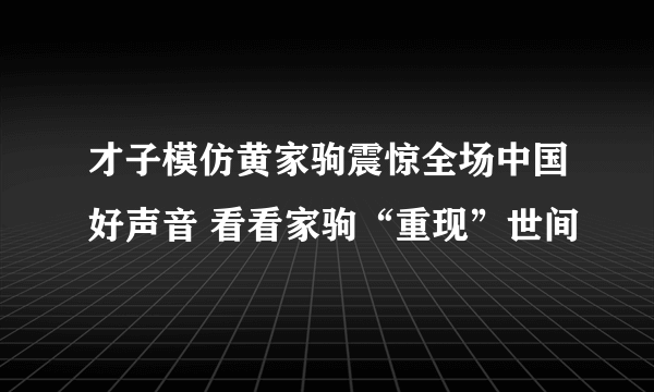 才子模仿黄家驹震惊全场中国好声音 看看家驹“重现”世间