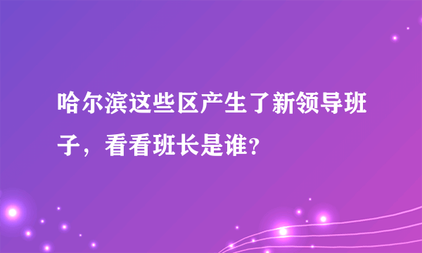 哈尔滨这些区产生了新领导班子，看看班长是谁？